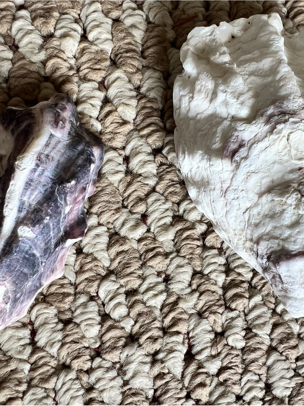Decorative Oyster Shells - White Natural Sea Shells - Picture 3 of 4